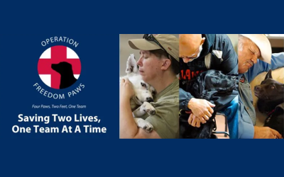Operation Freedom Paws