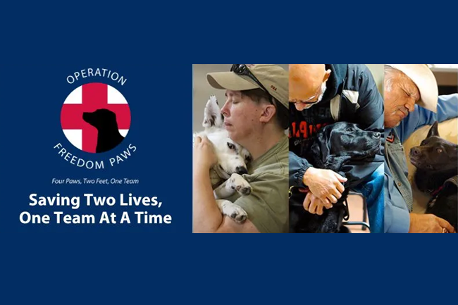 Operation Freedom Paws