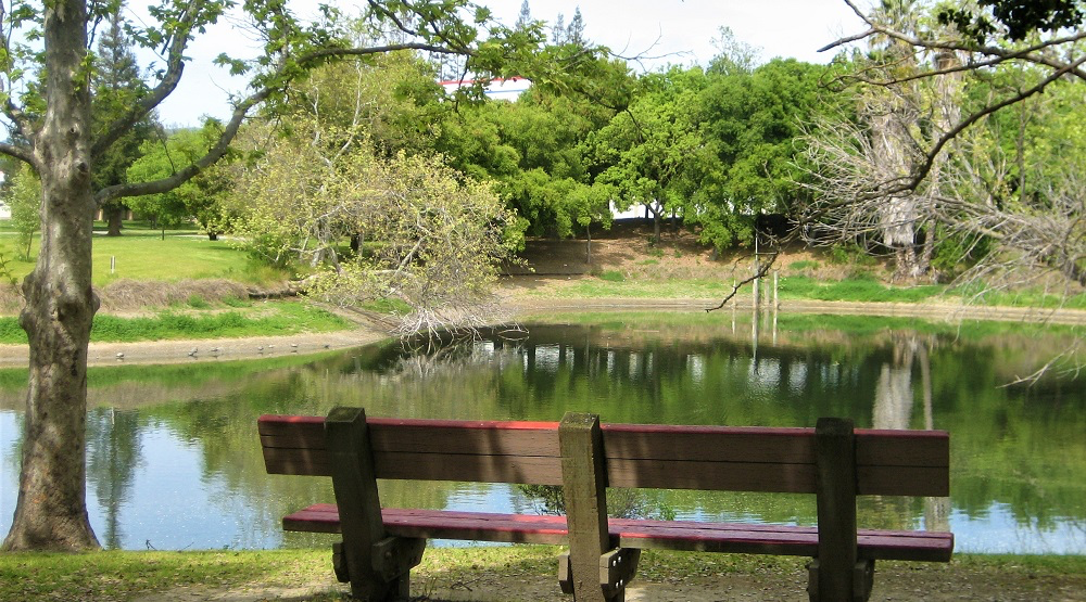 Overfelt Gardens